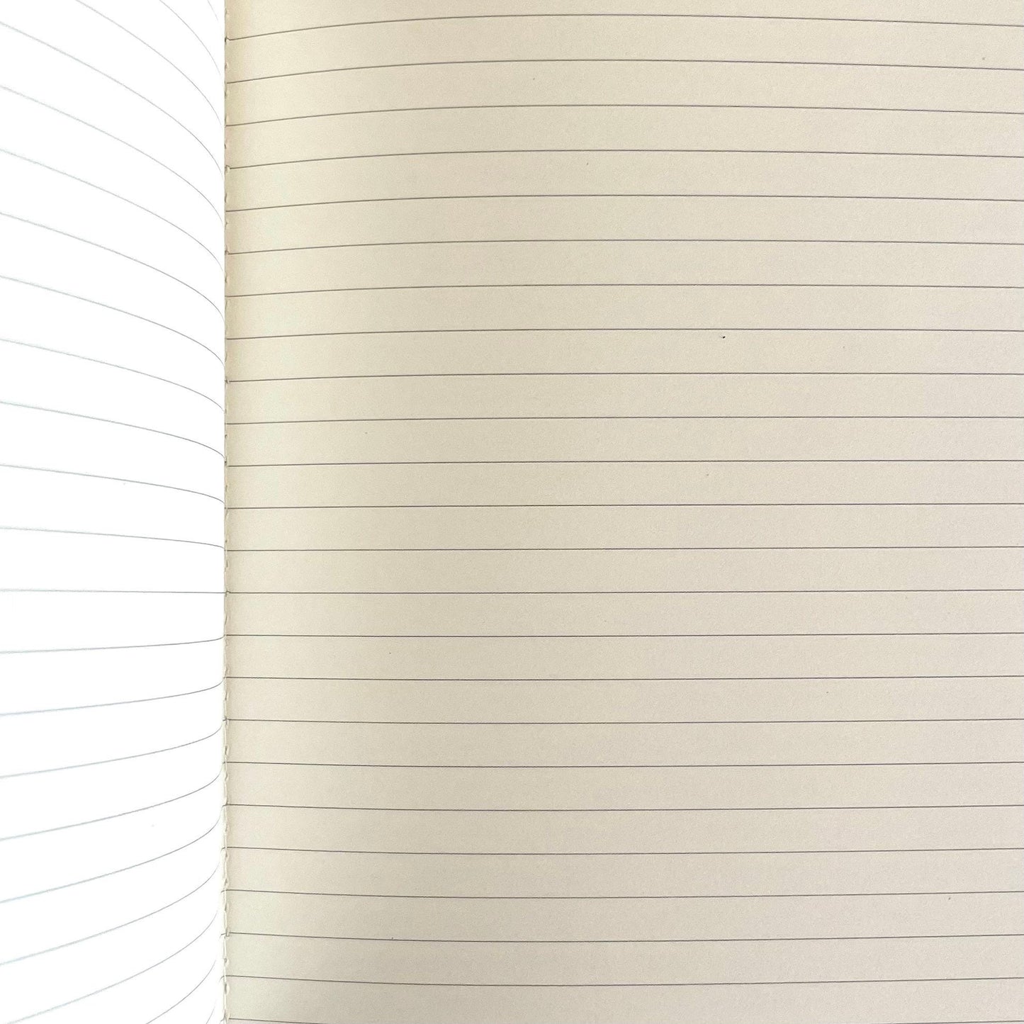 Tropical Fruit 3pc Notebook Set